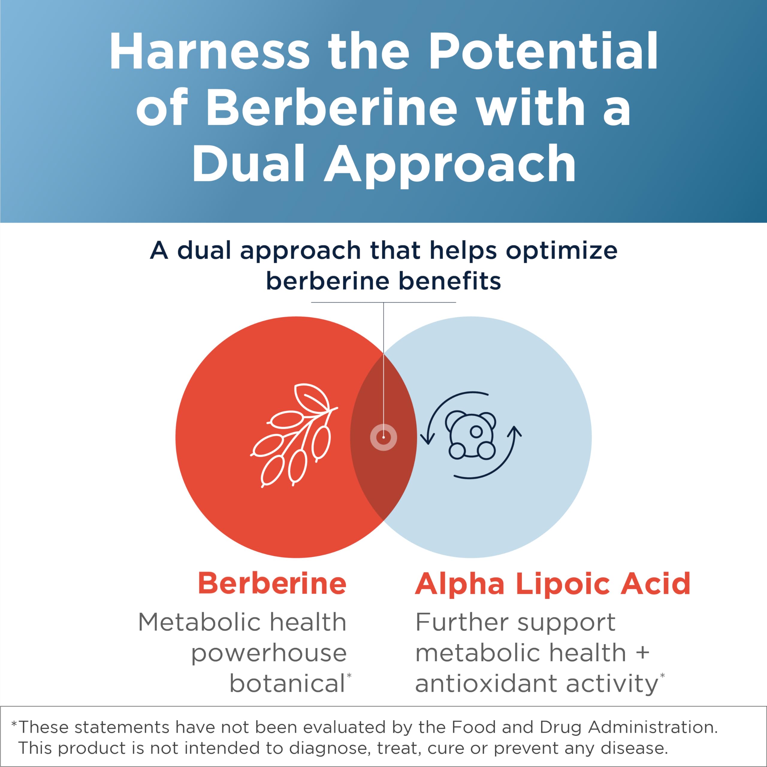 Designs for Health Berberine + ALA 400mg Capsules label close-up