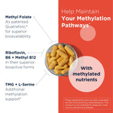 Designs for Health Methylation Support B Complex bottle with label