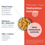 Designs for Health Methylation Support B Complex capsules in a hand
