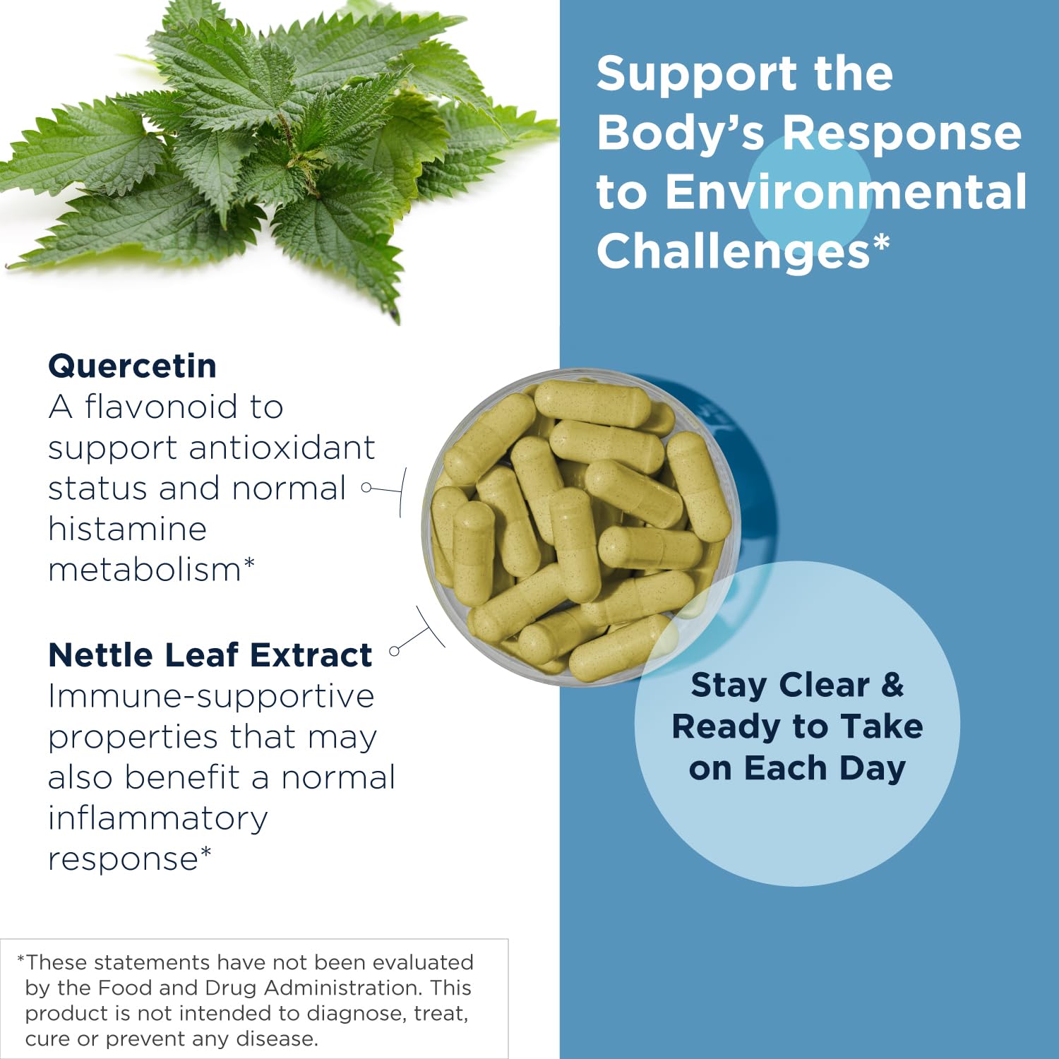 Designs for Health Nettle + Quercetin Supplement back view