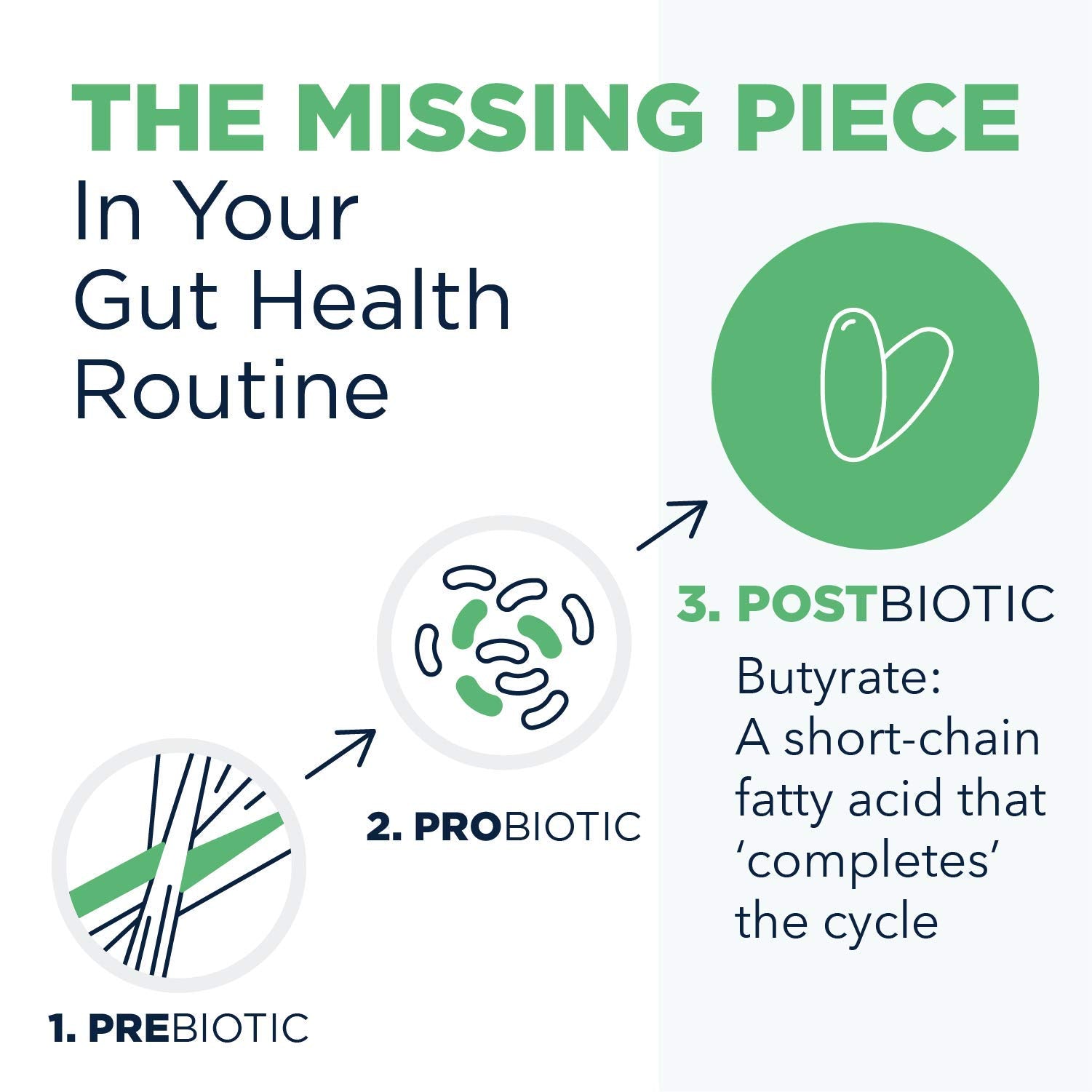 Designs for Health Post-Biotic Butyrate Supplement side view