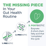 Designs for Health Post-Biotic Butyrate Supplement side view
