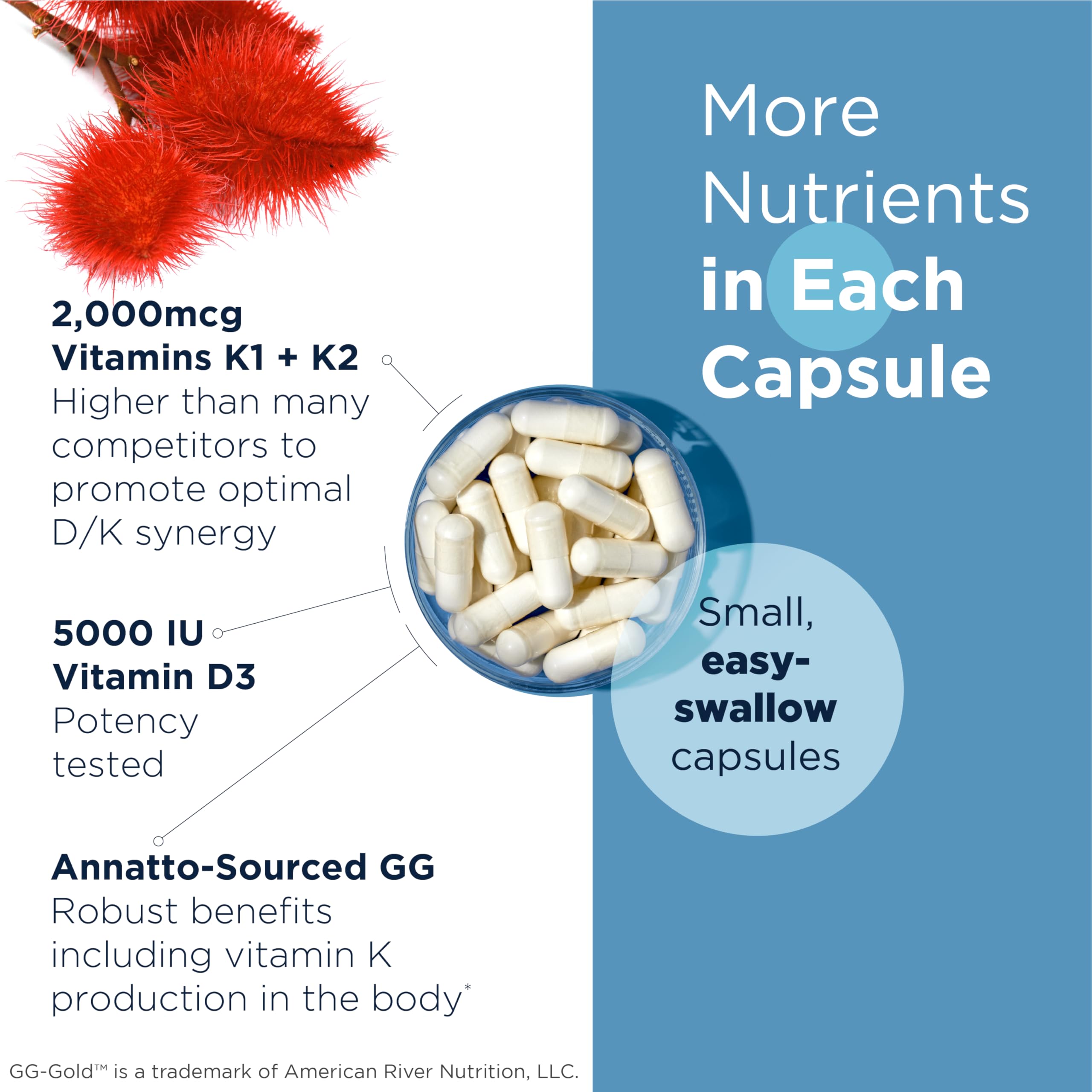 Designs for Health Vitamin D3 & K2 Capsules back view