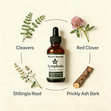 DFTLUUE Echinacea Herbal Supplement Liquid Drops 60ml dropper