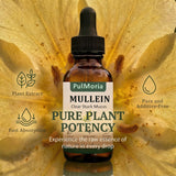 DFTLUUE Mullein Herbal Supplement 150g liquid drops lifestyle scene