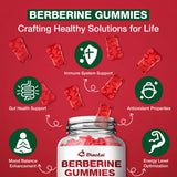 DIAOLAI Berberine Gummies side view with dosage information