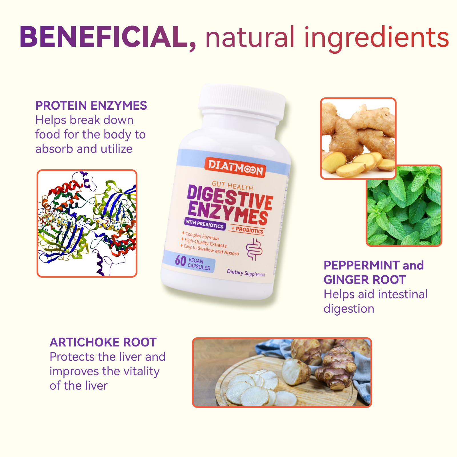 DIATMOON Multi-Enzyme Complex lifestyle scene with bottle