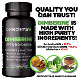 Dimberine Blended Vitamin & Mineral Supplement 60 Capsules packaging