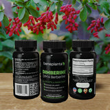 Dimberine Blended Vitamin & Mineral Supplement bottle with a measuring spoon