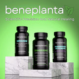 Dimberine Blended Vitamin & Mineral Supplement in a lifestyle setting