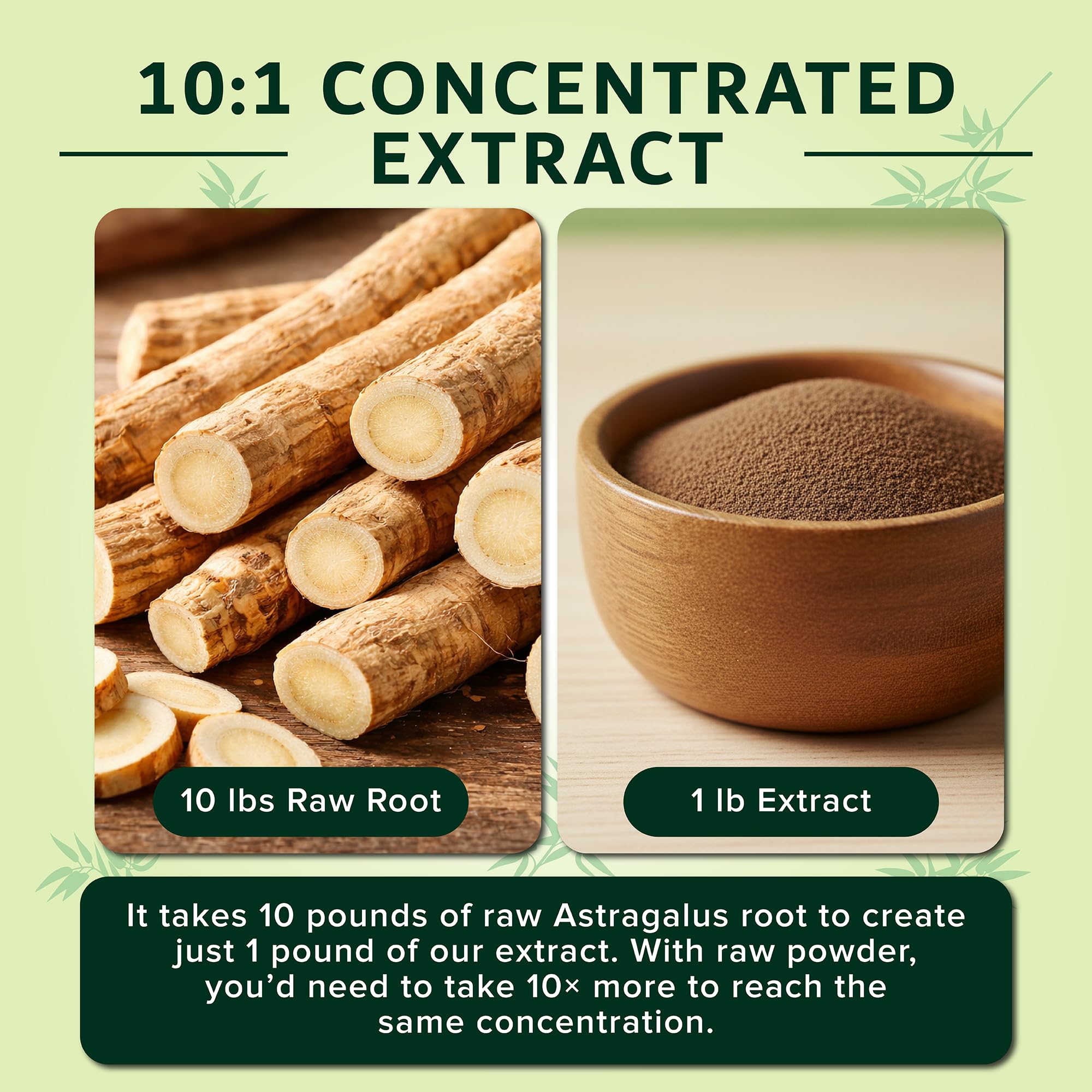 Dimmak Herbs Astragalus 10:1 Extract powder in a spoon