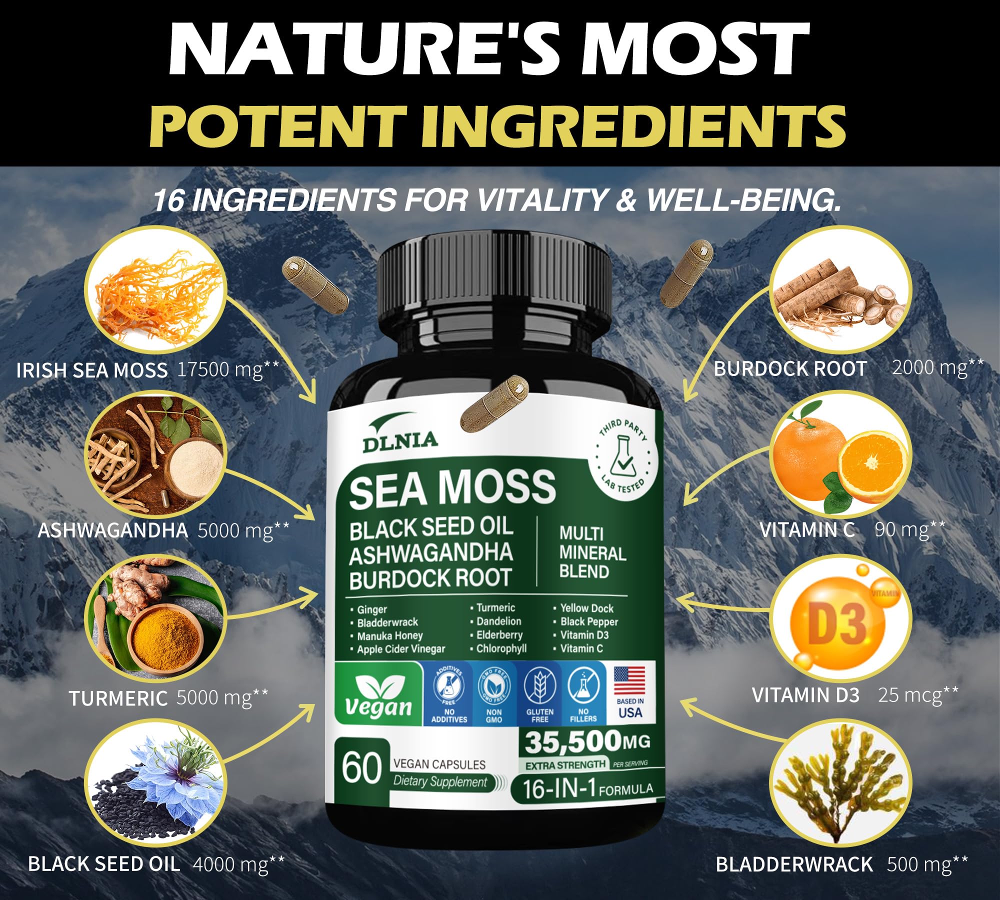 DLNIA Sea Moss All-in-1 Supplement capsules side view