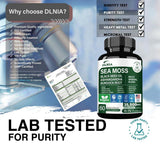 DLNIA Sea Moss All-in-1 Supplement capsules with a measuring spoon