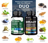 DLNIA Shilajit capsules with ingredients list