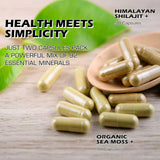 DLNIA Shilajit & Sea Moss Dynamic Vitality Bundle with herbal ingredients