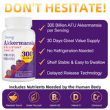 Dmeisy Akkermansia Probiotic Supplement 300 Billion AFU capsules with measuring spoon