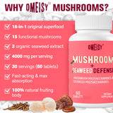 Dmeisy Lions Mane Mushroom Complex 4000mg tablets with seaweed blend