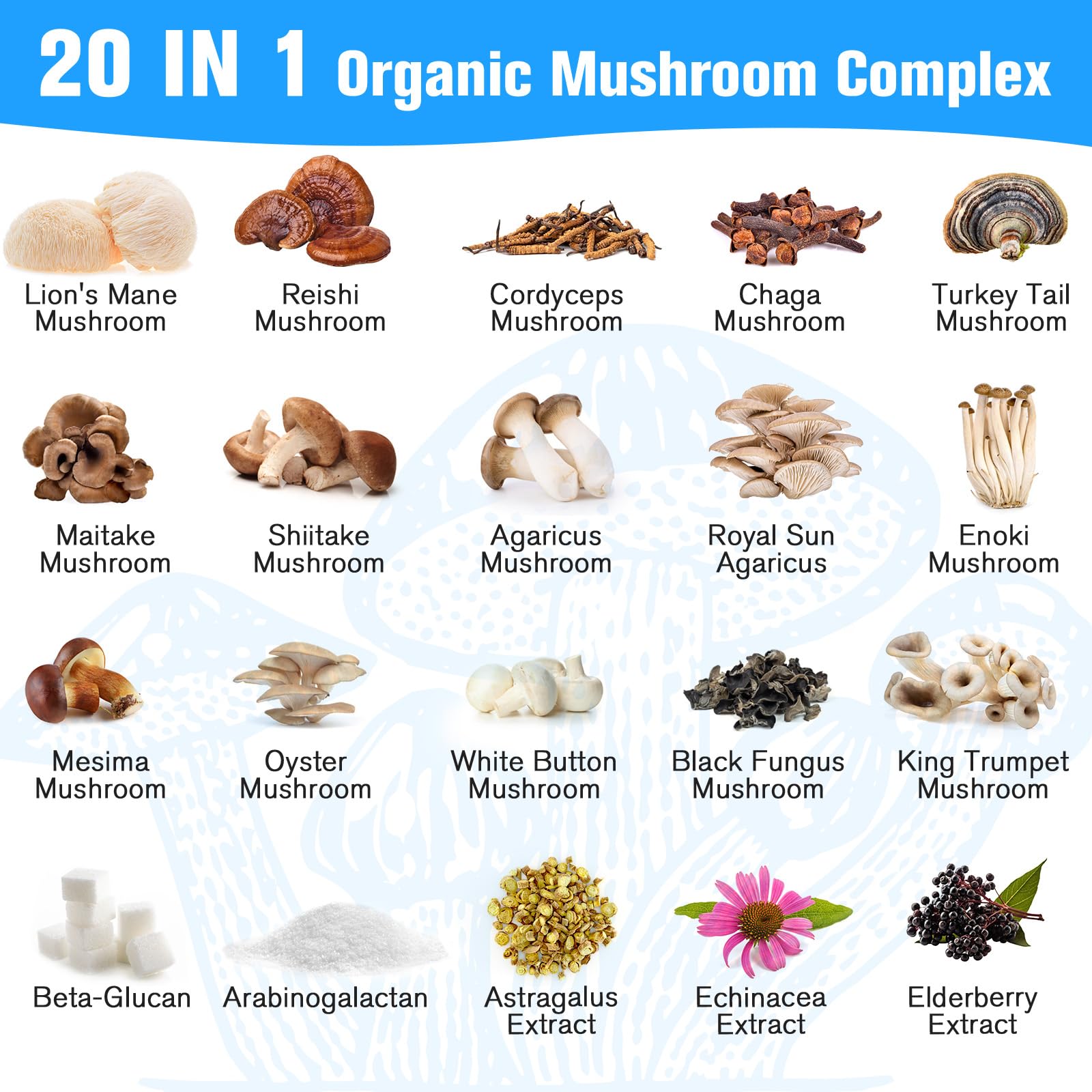 Dmeisy Mushroom Supplement capsule size reference