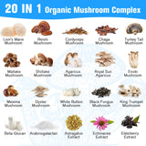 Dmeisy Mushroom Supplement capsule size reference