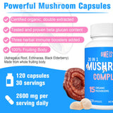 Dmeisy Mushroom Supplement packaging dimensions