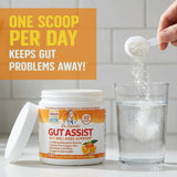 Doctor Danielle Gut Assist L-Glutamine powder back view