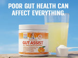 Doctor Danielle Gut Assist L-Glutamine powder with ingredients