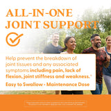 Doctor's BEST Chondroitin & Glucosamine supplement bottle back view