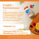 Doctor's BEST CoQ10 + Nattokinase Supplement 100mg back view with ingredients