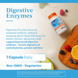 Doctor's BEST Multi-Enzymes Supplement back view with ingredient list