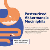 Doctor's Recipes Akkermansia Probiotic capsule close-up