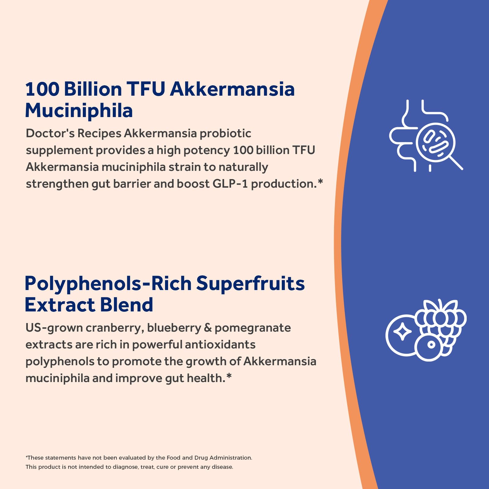 Doctor's Recipes Akkermansia Probiotic ingredients list