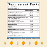 Doctor's Recipes Glucosamine Chondroitin MSM supplement side view