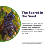 Doctor's Recipes Grape Seed Extract 500mg supplement facts