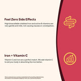 Doctor's Recipes Iron Plus Supplement ingredients list