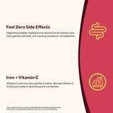 Doctor's Recipes Iron Plus Supplement ingredients list on packaging