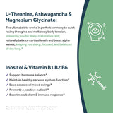 Doctor's Recipes L-Theanine 200mg capsules nutritional information