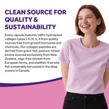 Doctor's Recipes Multi Collagen 14-in-1 Blend in a glass of water