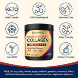 Doctor's Recipes Multi Collagen Peptides Powder mixed in smoothie