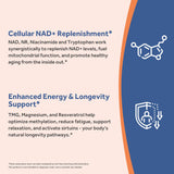 Doctor's Recipes NAD Supplement 200mg ingredients list