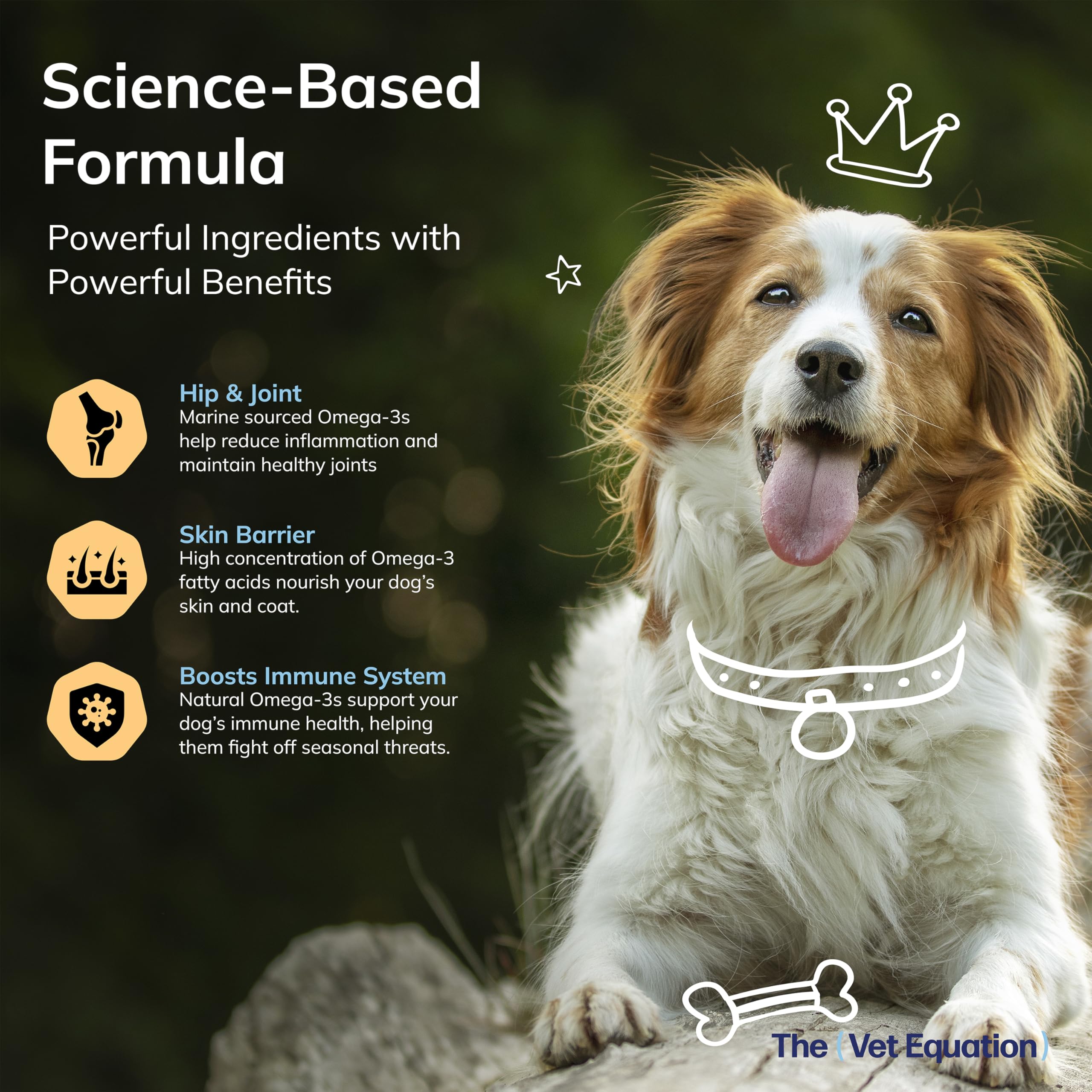 Dog enjoying The Vet Equation Omega-3 Duck-Flavoured Chews