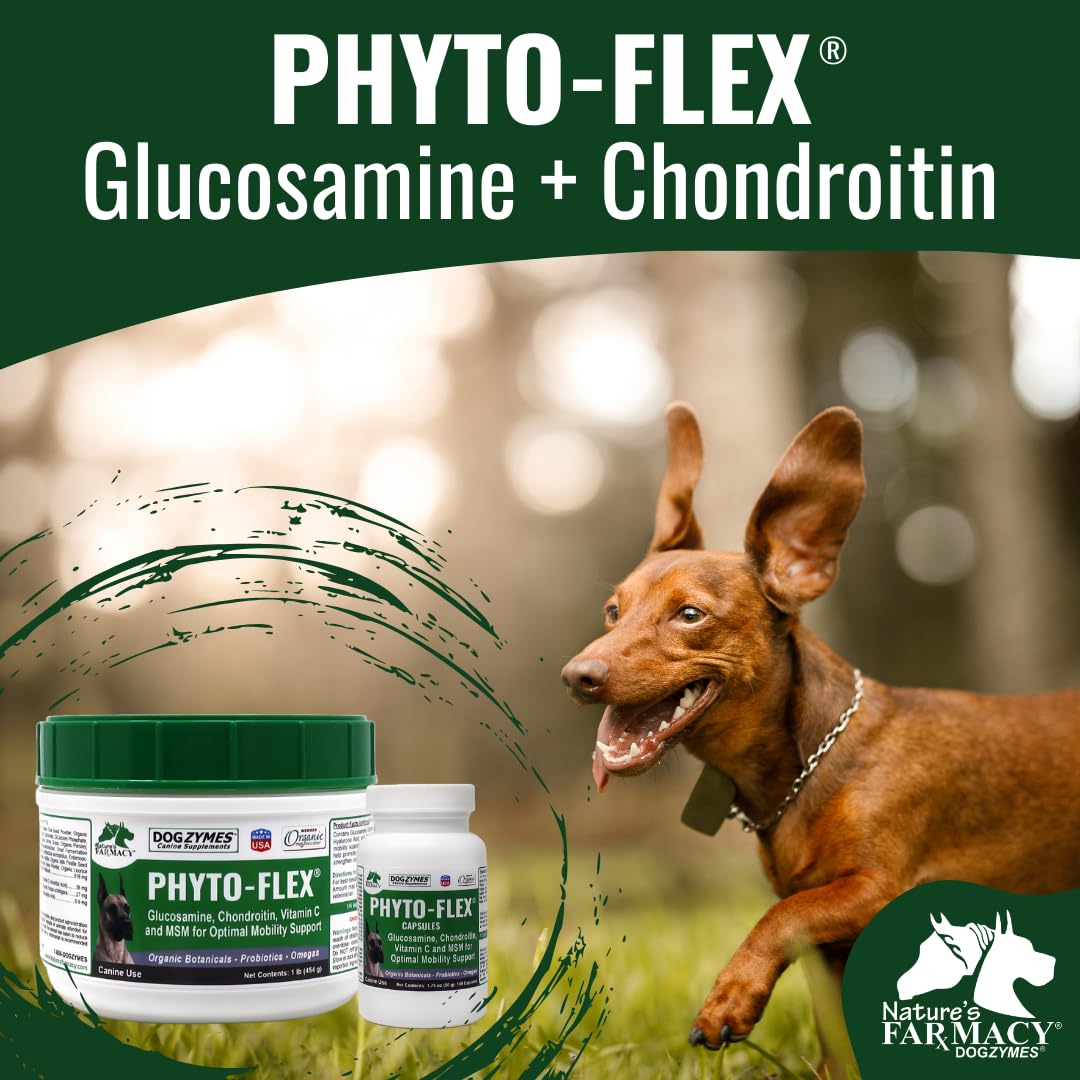 Dogzymes Chondroitin Supplement 454g packaging