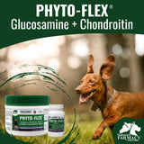 Dogzymes Chondroitin Supplement 454g packaging