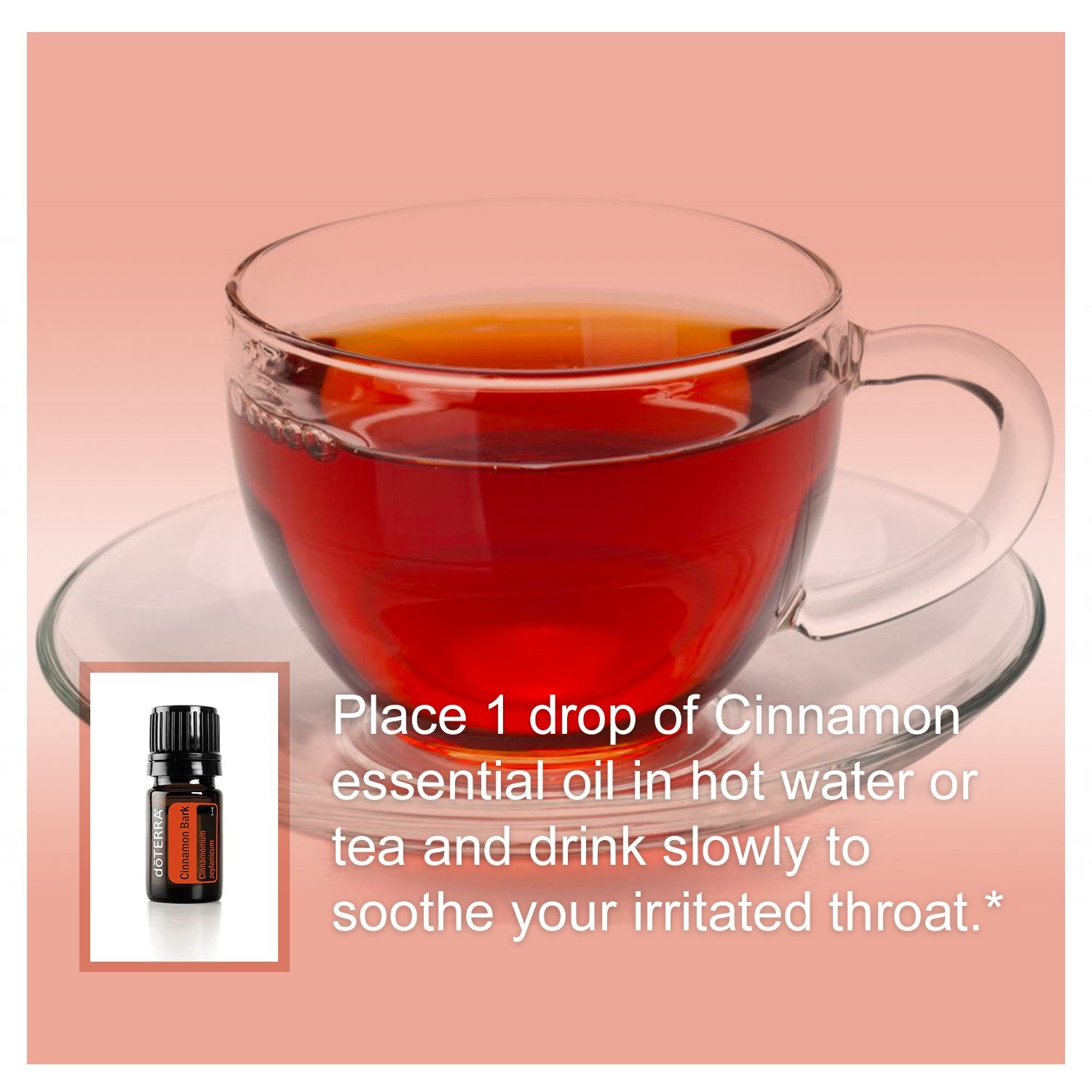 doTERRA Cinnamon Bark Supplement in a herbal display
