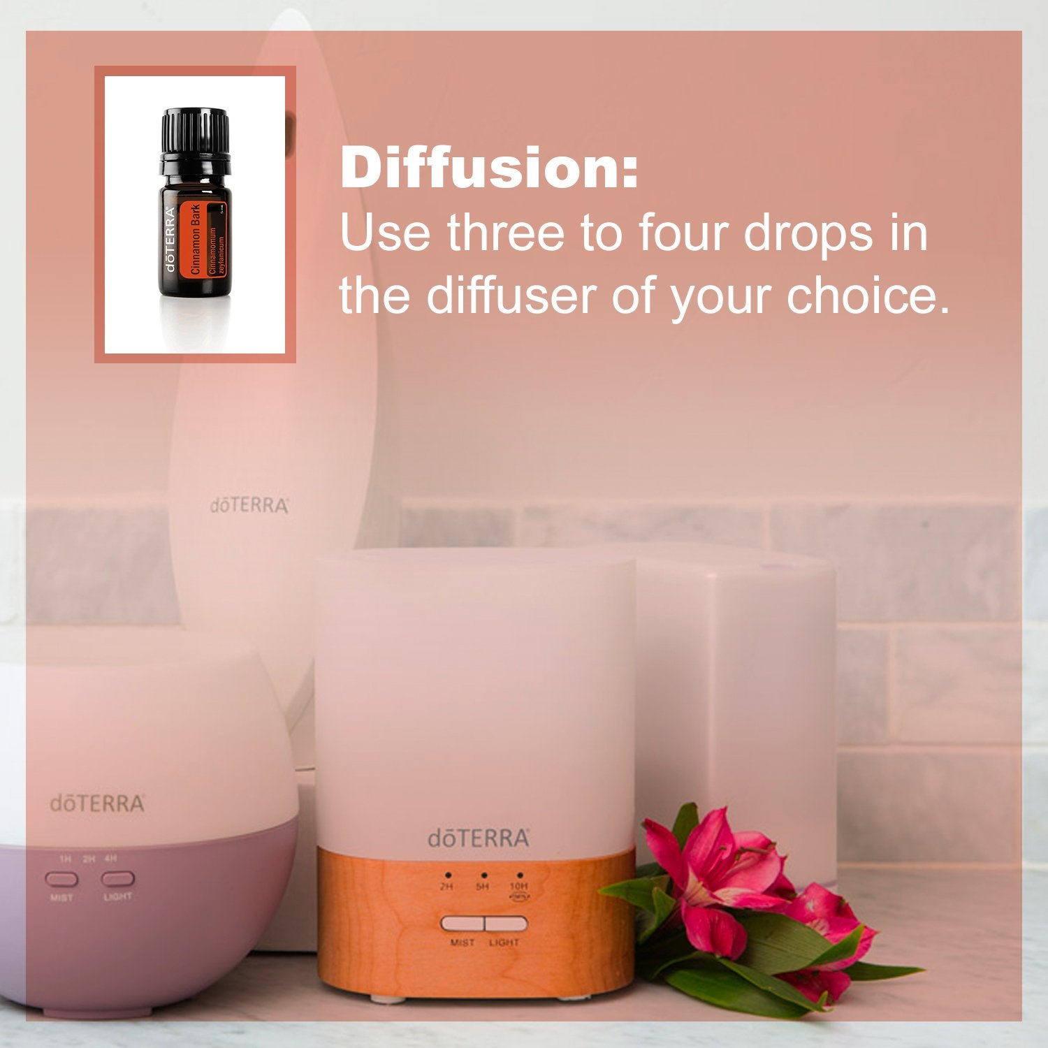 doTERRA Cinnamon Bark Supplement on a kitchen counter