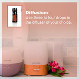 doTERRA Cinnamon Bark Supplement on a kitchen counter