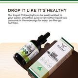 Double Wood Liquid Chlorophyll Drops 1g peppermint flavour bottle side view