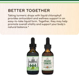 Double Wood Liquid Chlorophyll Drops 1g peppermint flavour in a glass of water