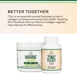 Double Wood Marine Collagen Powder unflavoured powder close-up