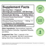 Double Wood Rhodiola Rosea Extract 500mg side view