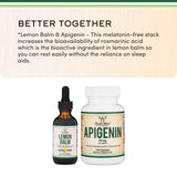Double Wood Supplements Lemon Balm Liquid Drops on a wooden table
